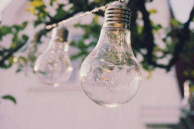 Close-up of light bulbs against tree