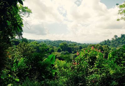 Scenic view of landscape against cloudy sky