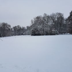 Trees on snow covered landscape against clear sky