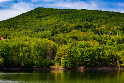 Scenic view of lake in forest against sky