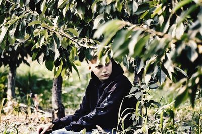 Young man sitting on tree