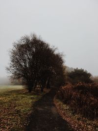 Trees on field against clear sky