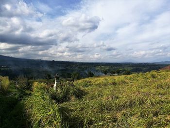 Scenic view of field against sky