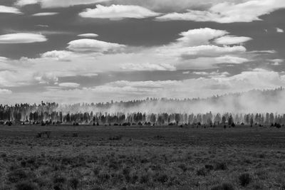 Panoramic shot of trees on field against sky