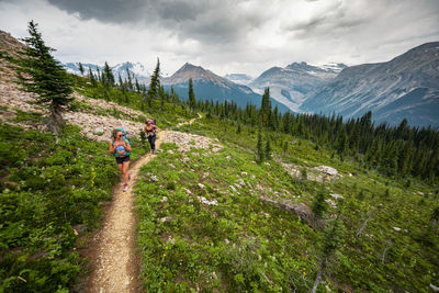 Backpackers hiking along the whaleback above the trees in yoho