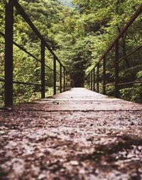 Footpath amidst trees in forest