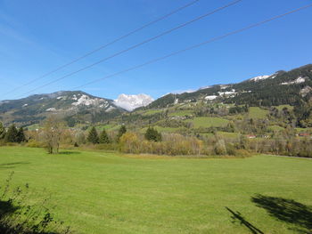 Scenic view of grassy field against sky