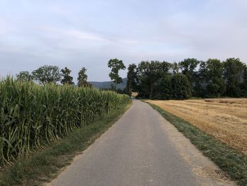 Road amidst agricultural field against sky