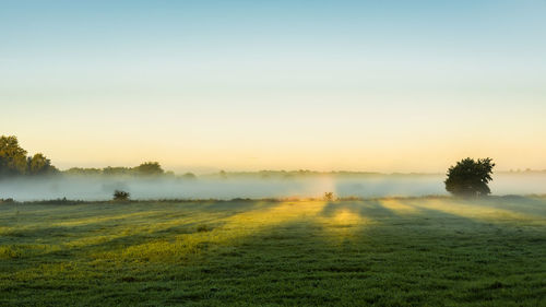 Scenic view of field against sky during foggy weather