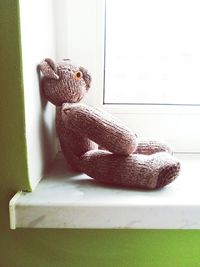 Close-up of lizard on window sill at home