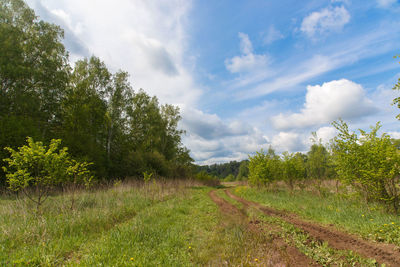 Trees on landscape against sky