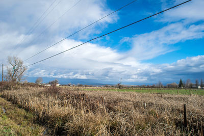 Scenic view of field against cloudy sky