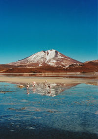 Scenic view of landscape against clear blue sky