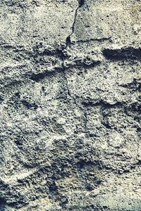 Full frame shot of tree