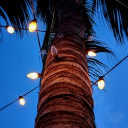 Low angle view of illuminated  light around palm tree against  sky at night