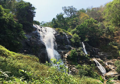 Scenic view of waterfall in forest