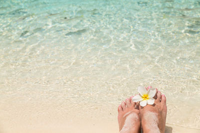 Low section of person relaxing on beach