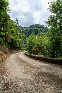 Road amidst trees and plants against sky