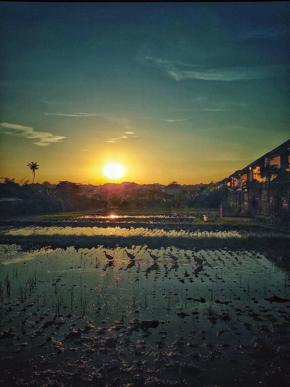 SCENIC VIEW OF SUNSET OVER BEACH