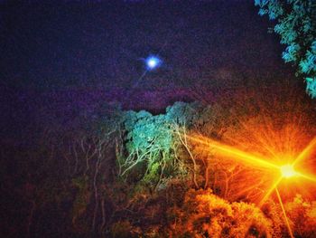 Illuminated tree against sky at night