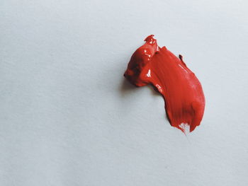 High angle view of red chili pepper against white background