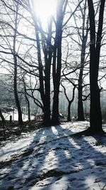 Bare trees on snow covered landscape