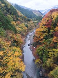 Scenic view of river flowing through rocks