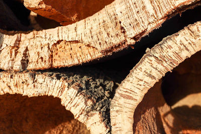 Detail shot of logs