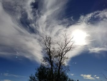 Low angle view of bare tree against cloudy sky