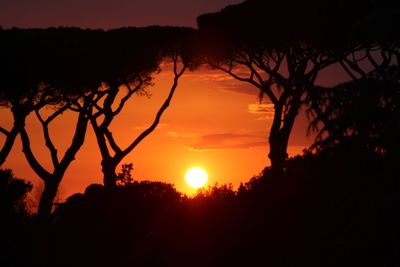 Silhouette trees against romantic sky at sunset