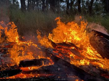 Close-up of bonfire 