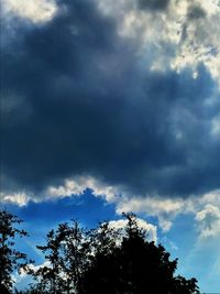 Low angle view of trees against cloudy sky