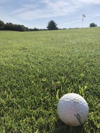 Close-up of ball on field