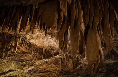 Close-up of cave