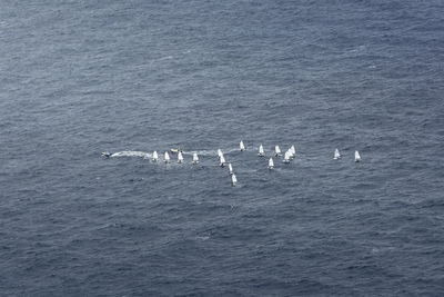 High angle view of boats in sea