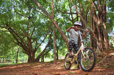 Man riding bicycle in forest