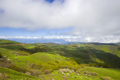 Mountain landscape in georgia. landscape from didgori road. clouds and blue sky.