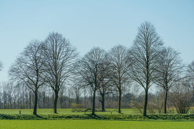 Spring time in the german muensterland