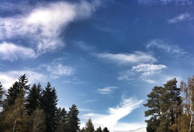 Low angle view of trees against cloudy sky