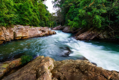 Scenic view of waterfall in forest