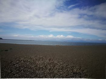 Scenic view of beach against sky