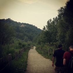 Footpath leading towards trees