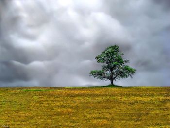 Scenic view of field against cloudy sky