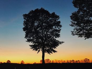 Silhouette tree against clear sky at sunset