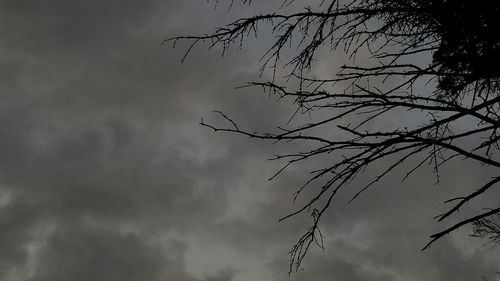 Low angle view of silhouette bare tree against sky