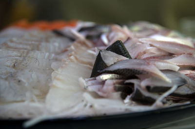 Close-up of fish in plate