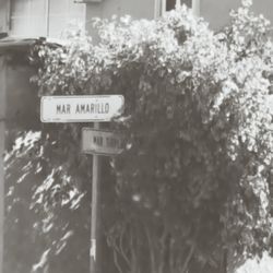Close-up of text