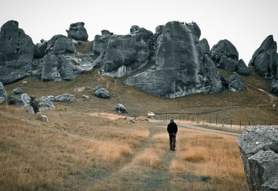 Rear view of man walking on field