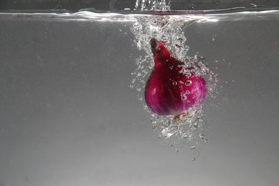 Close-up of red water splashing against black background