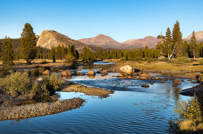 Scenic view of lake against clear blue sky